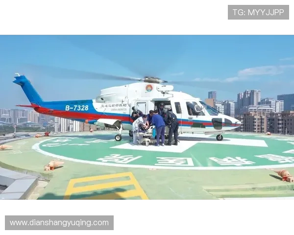 海登海姆球迷看台跌落头部重伤 直升机紧急进场救援 海登海姆球迷看台跌落头部重伤 直升机紧急进场救援